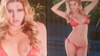 Samantha Saint Frendly-Vibe cumshot