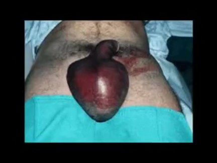 Scarlet Young german Pornostar POV bumsen