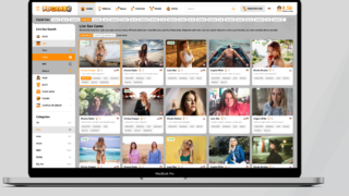 PDCams Has Perfected The Art of Cam Girl Aggregation With An Amazing Site