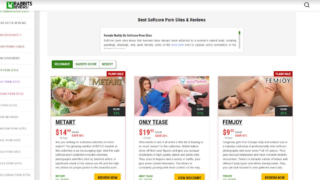 Top Softcore Porn Sites: Best Sites for Sensual and Tasteful Content